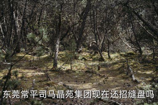 東莞常平司馬晶苑集團現在還招縫盤嗎