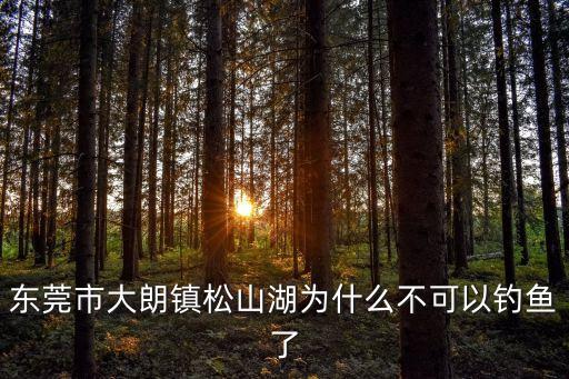 東莞市大朗鎮松山湖為什么不可以釣魚了