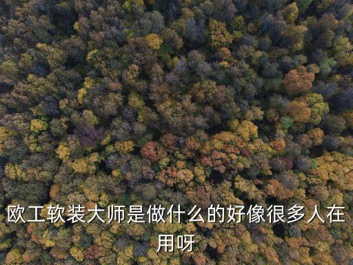 歐工軟裝大師是做什么的好像很多人在用呀