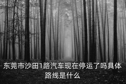 東莞沙田路邊可以停車嗎，東莞可園中學附近有無停車場路邊可以停車嗎