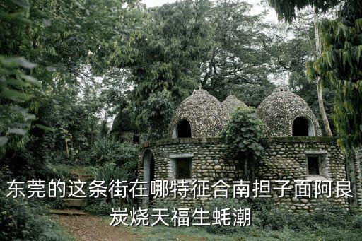 東莞的這條街在哪特征合南擔子面阿良炭燒天福生蠔潮