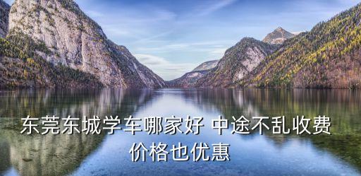 東莞東城學車哪家好 中途不亂收費 價格也優惠