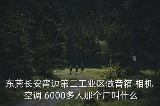 東莞長安宵邊第二工業區做音箱 相機 空調 6000多人那個廠叫什么