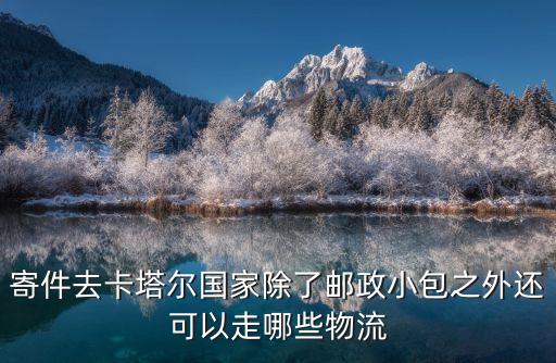 寄件去卡塔爾國家除了郵政小包之外還可以走哪些物流