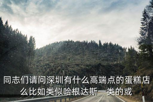 深圳獨一無二的冰淇淋蛋糕，同志們請問深圳有什么高端點的蛋糕店么比如類似哈根達斯一類的或