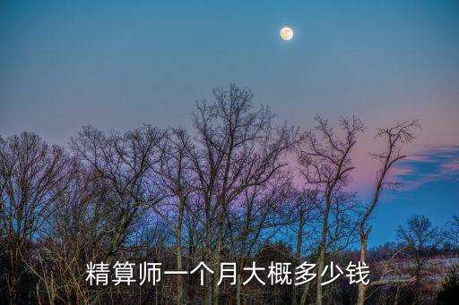 深圳車險(xiǎn)精算師月薪多少，精算師工資