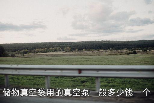 儲物真空袋用的真空泵一般多少錢一個