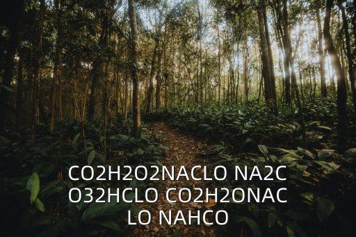 CO2H2O2NACLO NA2CO32HCLO CO2H2ONACLO NAHCO