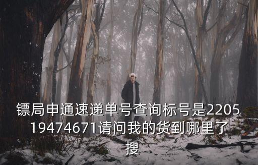 鏢局申通速遞單號查詢標號是220519474671請問我的貨到哪里了  搜