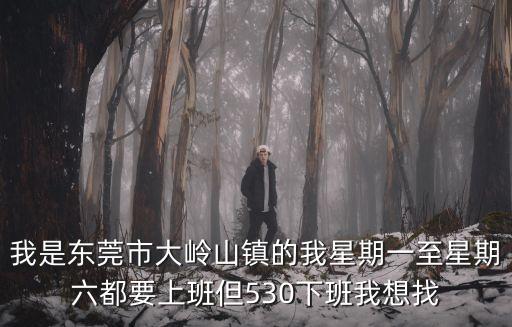 我是東莞市大嶺山鎮的我星期一至星期六都要上班但530下班我想找