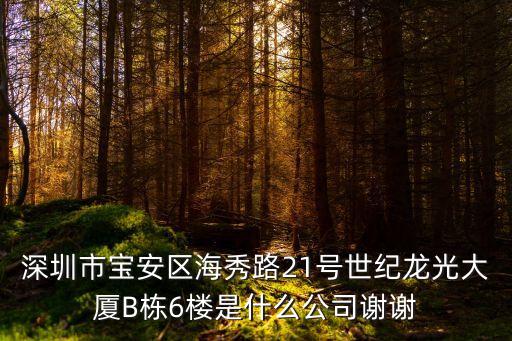 深圳市寶安區海秀路21號世紀龍光大廈B棟6樓是什么公司謝謝