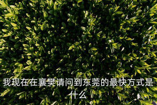 我現在在襄樊請問到東莞的最快方式是什么