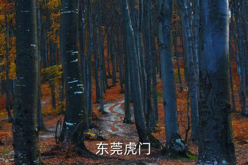 東莞虎門新園最新，東莞虎門