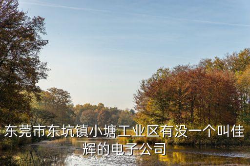東莞市東坑鎮小塘工業區有沒一個叫佳輝的電子公司