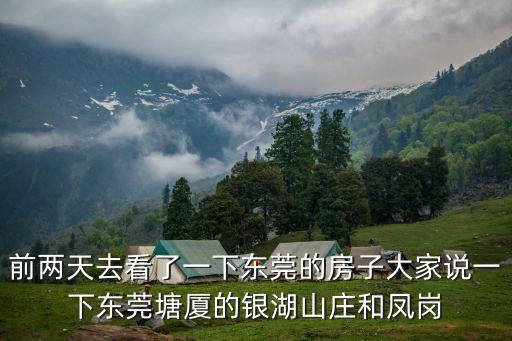前兩天去看了一下東莞的房子大家說一下東莞塘廈的銀湖山莊和鳳崗