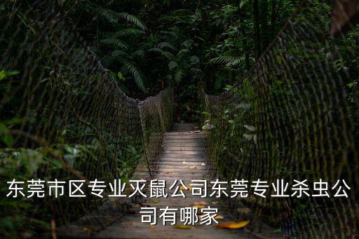 東莞殺蟲劑，東莞殺蟲公司哪家好