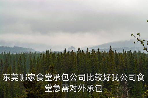 東莞樟木頭職工食堂承包費用，在廣東東莞承包一個400人左右的工廠食堂一人10元標準有沒有利潤