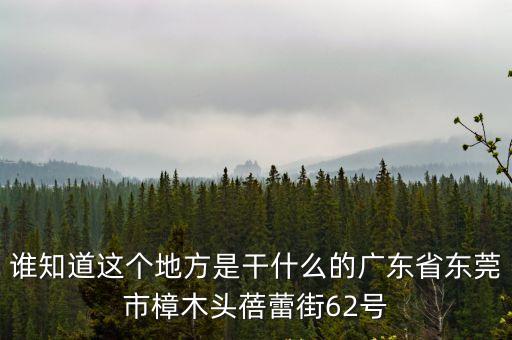 誰知道這個(gè)地方是干什么的廣東省東莞市樟木頭蓓蕾街62號(hào)