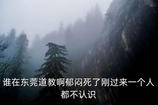 東莞道虻街楹訪，誰在東莞道教啊郁悶死了剛過來一個人都不認識