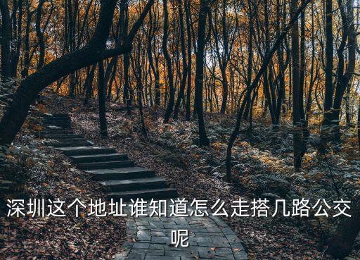 深圳這個地址誰知道怎么走搭幾路公交呢