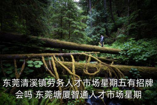 東莞清溪鎮勞務人才市場星期五有招牌會嗎 東莞塘廈智通人才市場星期