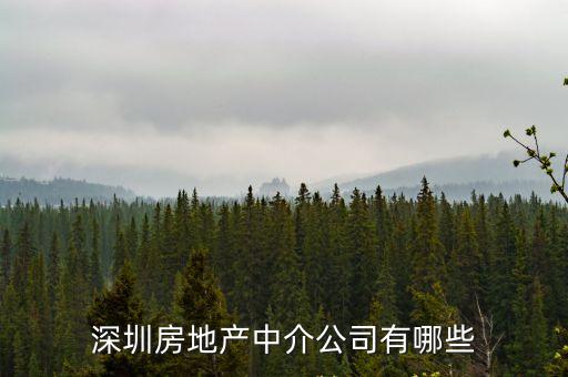 深圳房地產中介公司有哪些