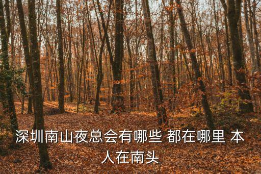 深圳南山夜總會(huì)有哪些 都在哪里 本人在南頭