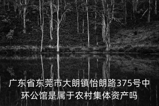 東莞大朗鎮是農村嗎，廣東省東莞市大朗鎮怡朗路375號中環公館是屬于農村集體資產嗎