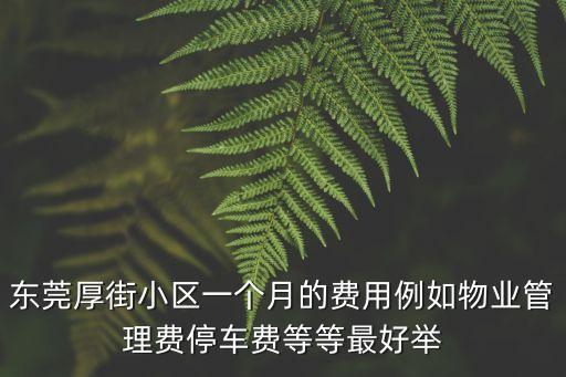 東莞厚街小區一個月的費用例如物業管理費停車費等等最好舉