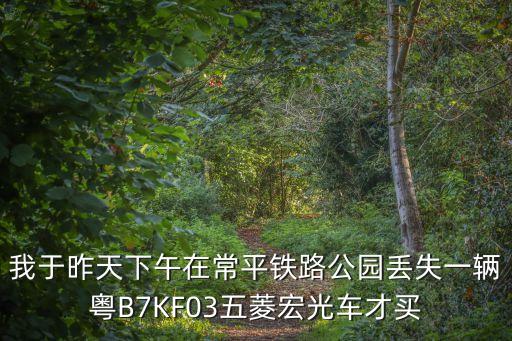 東莞常平車禍警方通告，東莞網(wǎng)上報案