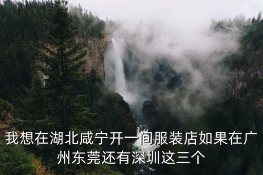 我想在湖北咸寧開一間服裝店如果在廣州東莞還有深圳這三個(gè)