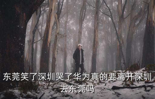 東莞笑了深圳哭了華為真的要離開深圳去東莞嗎
