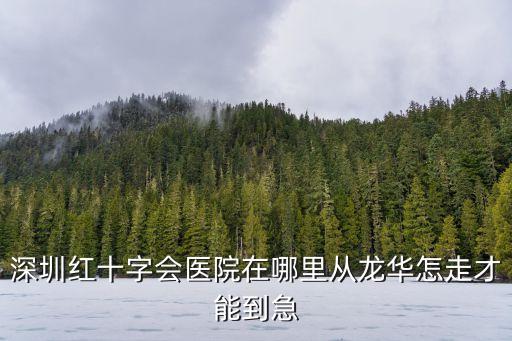 深圳紅會醫院科室，深圳紅十字會醫院