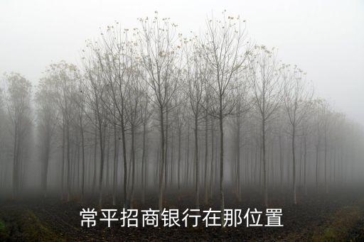 常平招商銀行在那位置