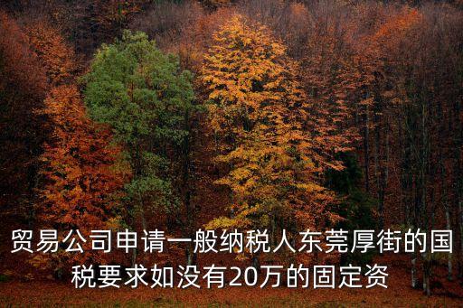 東莞厚街代辦國(guó)稅，貿(mào)易公司申請(qǐng)一般納稅人東莞厚街的國(guó)稅要求如沒(méi)有20萬(wàn)的固定資