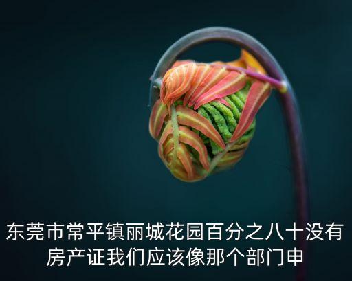 東莞市常平鎮麗城花園百分之八十沒有房產證我們應該像那個部門申