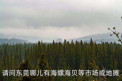 請問東莞哪兒有海螺海貝等市場或地攤