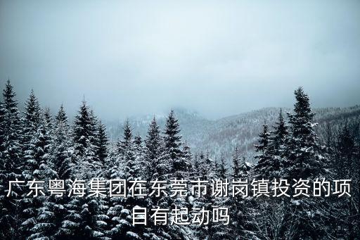 廣東粵海集團(tuán)在東莞市謝崗鎮(zhèn)投資的項(xiàng)目有起動嗎