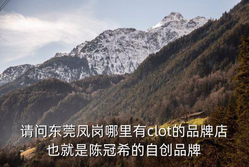 請問東莞鳳崗哪里有clot的品牌店也就是陳冠希的自創品牌
