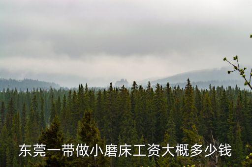 東莞中堂618磨床多少錢，精力磨床多少錢一臺