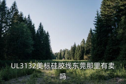 UL3132美標硅膠線東莞那里有賣嗎