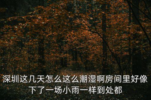 深圳這幾天怎么這么潮濕啊房間里好像下了一場小雨一樣到處都