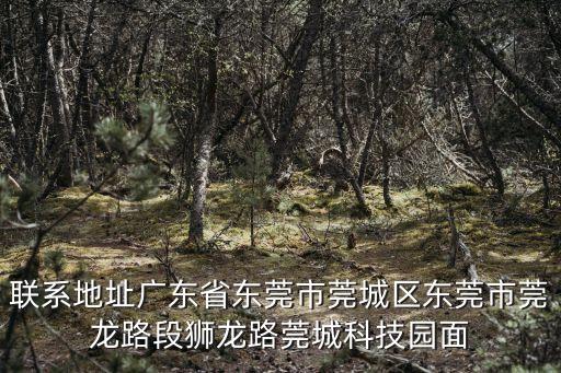 聯(lián)系地址廣東省東莞市莞城區(qū)東莞市莞龍路段獅龍路莞城科技園面