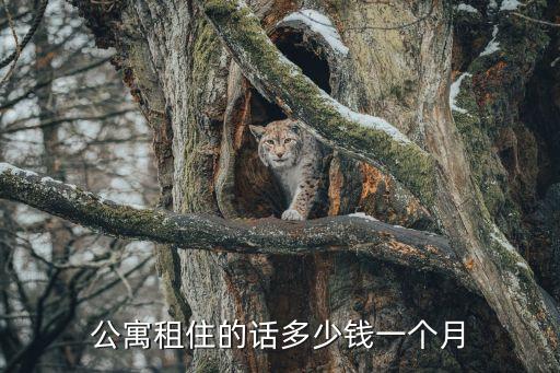 東莞郊區公寓月租多少錢，東莞市里租房一個人住大概多少錢一間