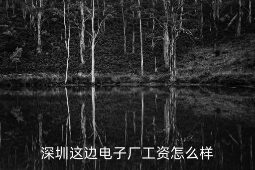 深圳愛(ài)思杰電器有限公司待遇，2013年愛(ài)思杰電器工資咋樣