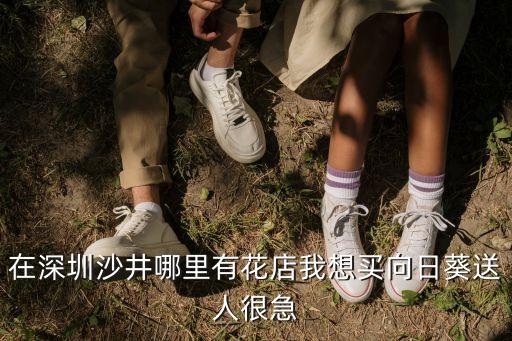 在深圳沙井哪里有花店我想買向日葵送人很急