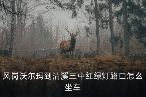 東莞鳳崗沃爾瑪紅綠燈，風(fēng)崗沃爾瑪?shù)角逑屑t綠燈路口怎么坐車(chē)