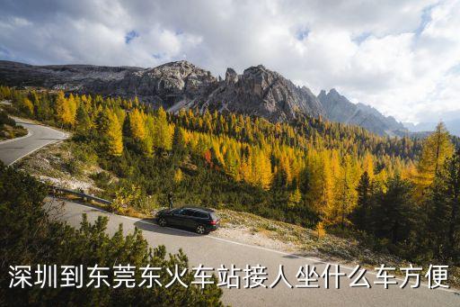 深圳東站出站口怎么接人，沒有出過門的老人在深圳東站家里人可以進站接人嗎