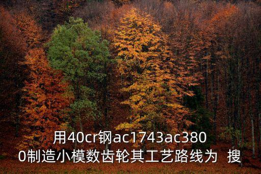 用40cr鋼ac1743ac3800制造小模數齒輪其工藝路線為  搜