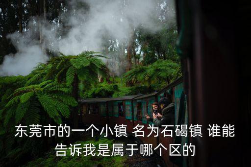 東莞市北部是哪個區，東莞松山湖新能源的具體地址和郵編是啥是屬于哪個鎮